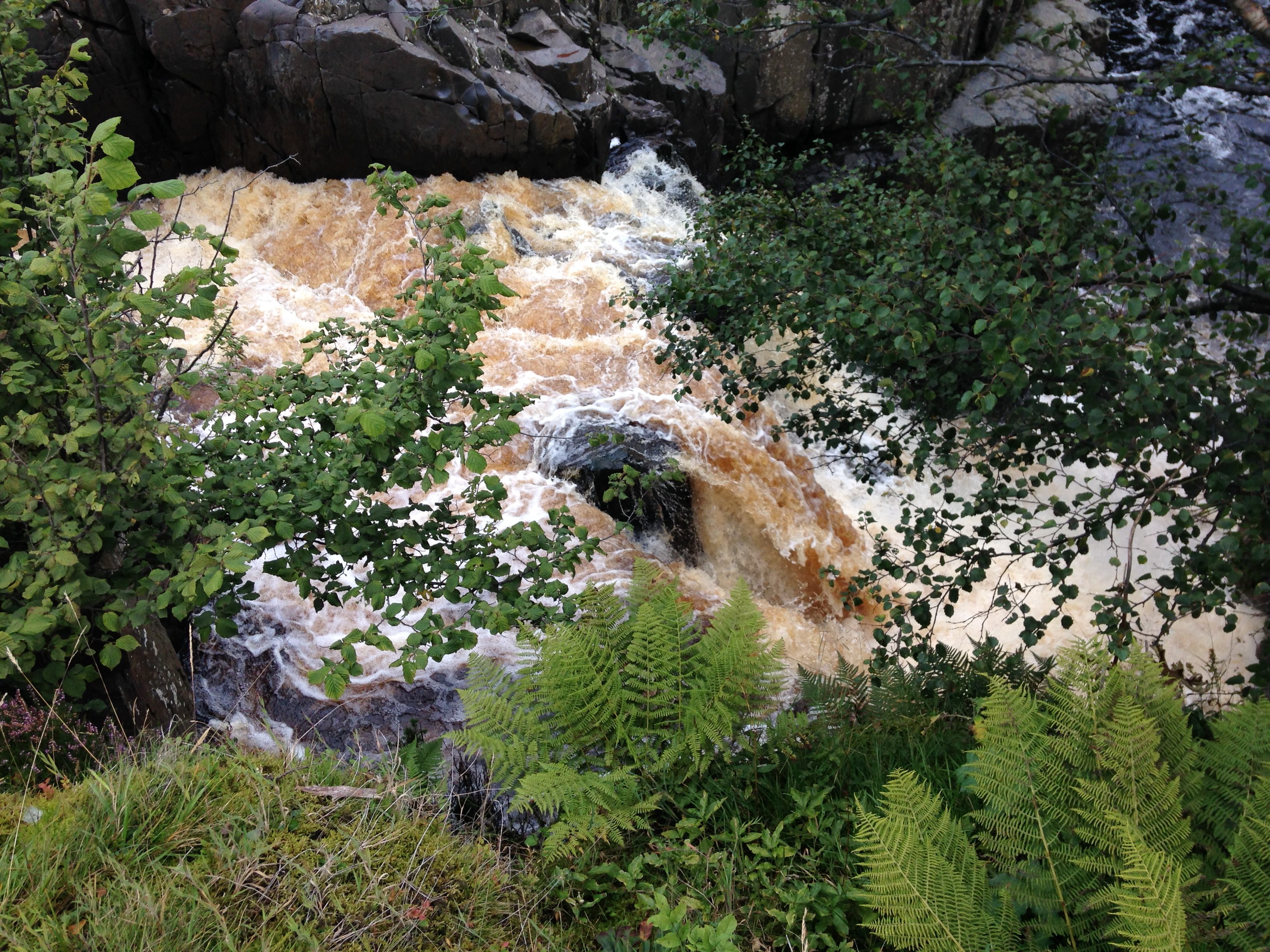 Img 0973 There Must Be More To Life